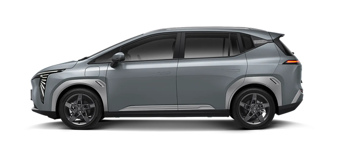Elegant Grey